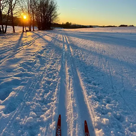 Motyli Louka S Finskou Saunou Daire *